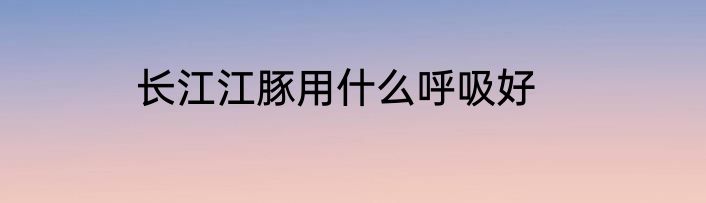 长江江豚用什么呼吸好