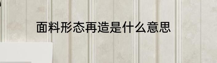 面料形态再造是什么意思