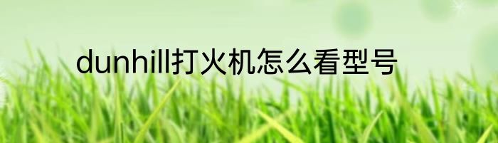 dunhill打火机怎么看型号