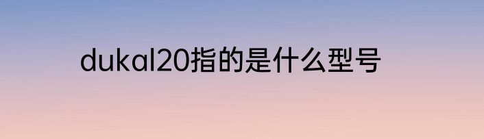 dukal20指的是什么型号