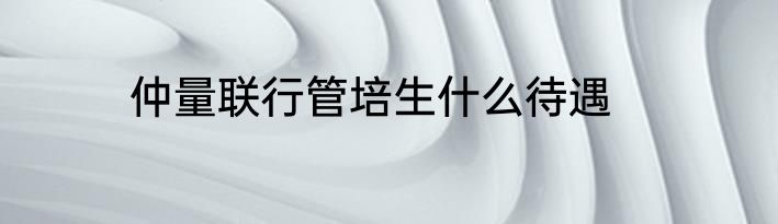 仲量联行管培生什么待遇