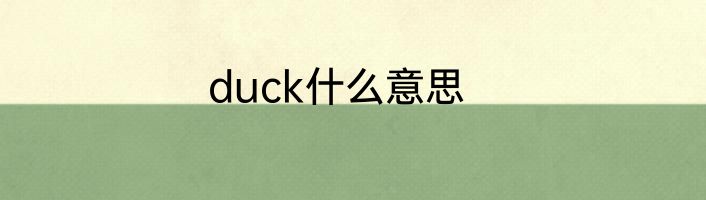 duck什么意思