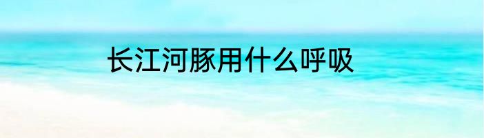 长江河豚用什么呼吸