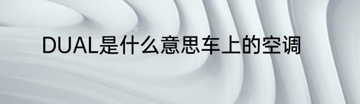 DUAL是什么意思车上的空调