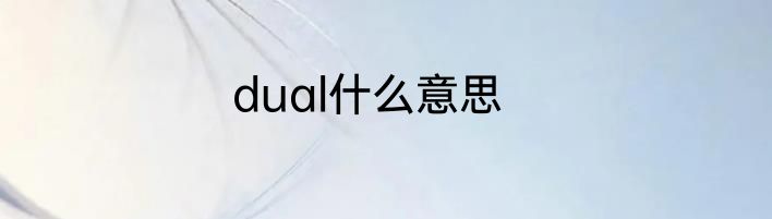 dual什么意思
