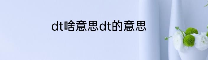 dt啥意思dt的意思