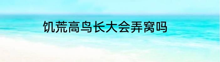 饥荒高鸟长大会弄窝吗