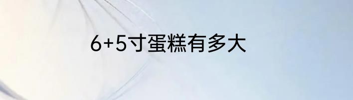 6+5寸蛋糕有多大