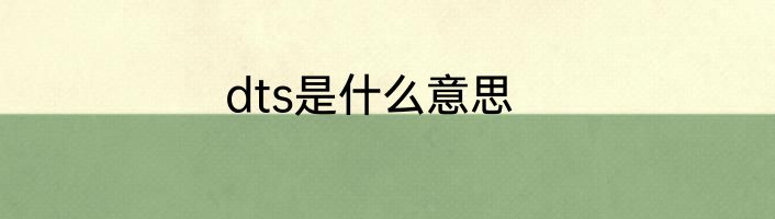 dts是什么意思