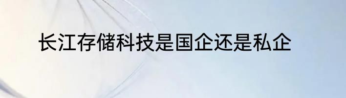 长江存储科技是国企还是私企