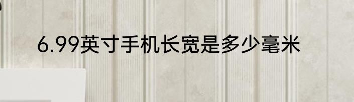 6.99英寸手机长宽是多少毫米