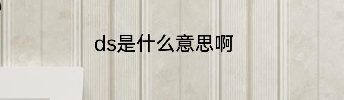 ds是什么意思啊