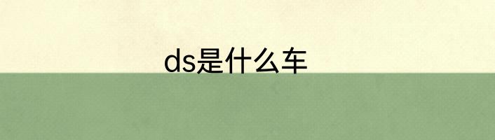 ds是什么车