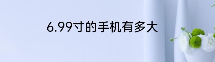6.99寸的手机有多大