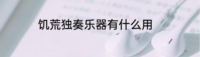 饥荒独奏乐器有什么用