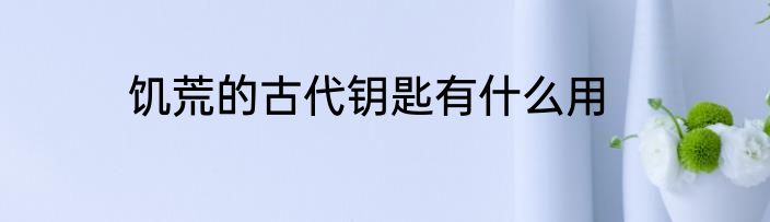 饥荒的古代钥匙有什么用
