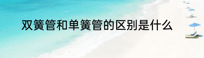 双簧管和单簧管的区别是什么