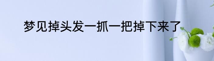 梦见掉头发一抓一把掉下来了