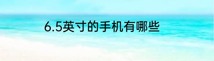6.5英寸的手机有哪些