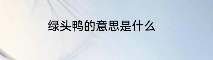 绿头鸭的意思是什么