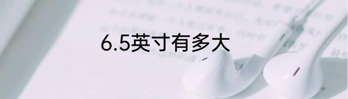 6.5英寸有多大
