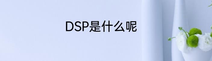 DSP是什么呢