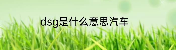 dsg是什么意思汽车