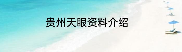 贵州天眼资料介绍