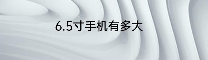 6.5寸手机有多大