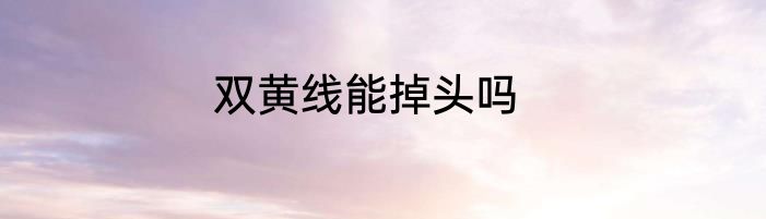 双黄线能掉头吗