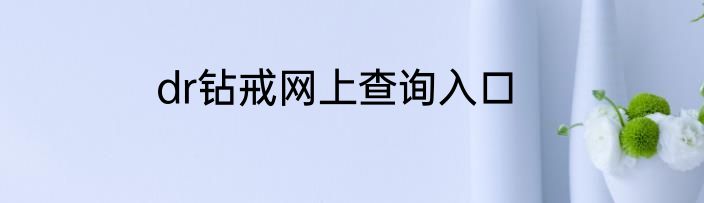 dr钻戒网上查询入口