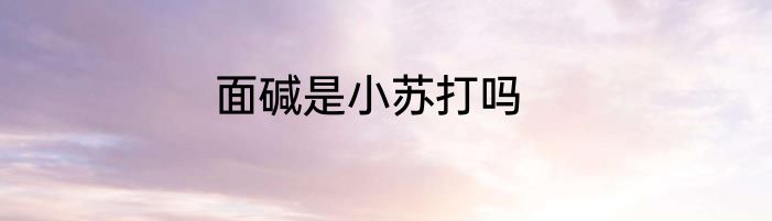 面碱是小苏打吗