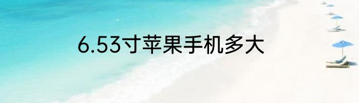 6.53寸苹果手机多大