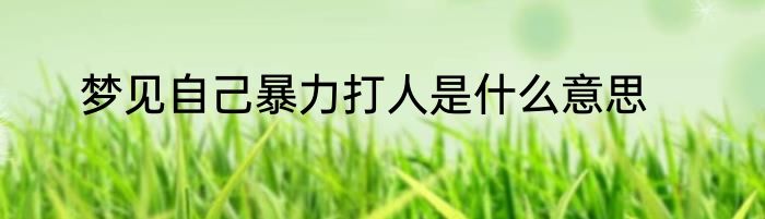 梦见自己暴力打人是什么意思