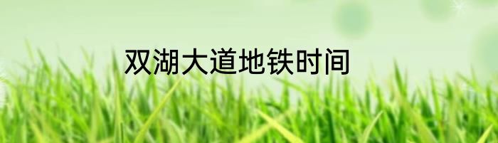 双湖大道地铁时间