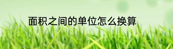 面积之间的单位怎么换算
