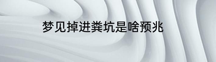 梦见掉进粪坑是啥预兆
