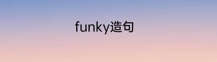 funky造句