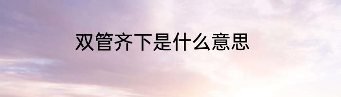 双管齐下是什么意思
