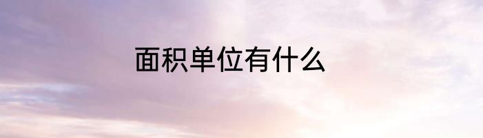 面积单位有什么