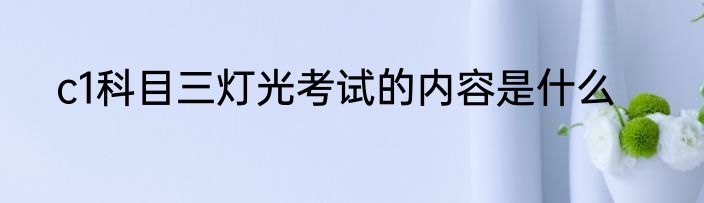 c1科目三灯光考试的内容是什么