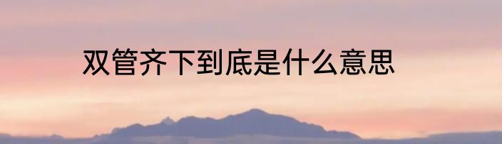 双管齐下到底是什么意思