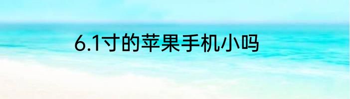 6.1寸的苹果手机小吗
