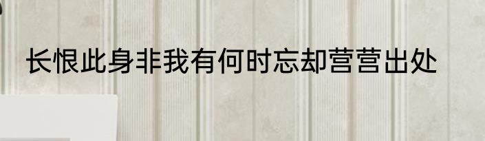 长恨此身非我有何时忘却营营出处