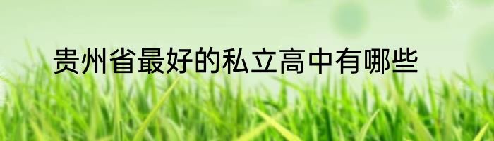 贵州省最好的私立高中有哪些