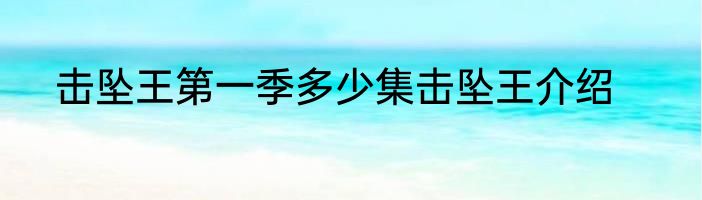 击坠王第一季多少集击坠王介绍