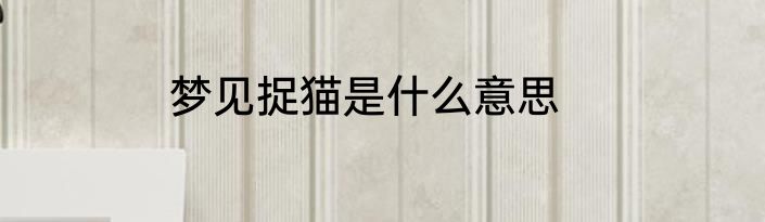 梦见捉猫是什么意思