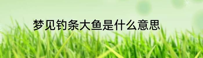 梦见钓条大鱼是什么意思