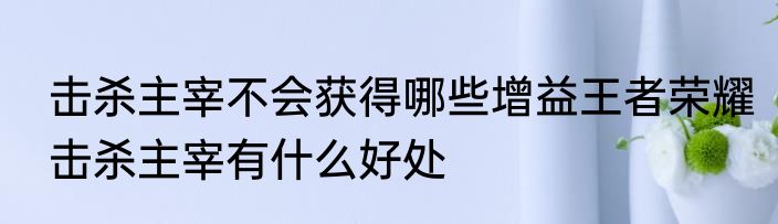 击杀主宰不会获得哪些增益王者荣耀击杀主宰有什么好处