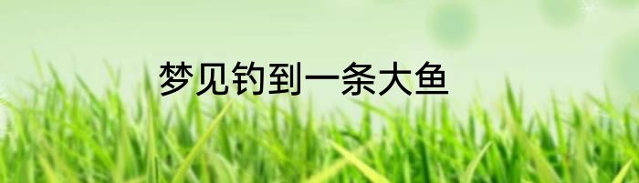 梦见钓到一条大鱼